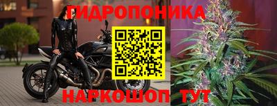 mdpv Моздок