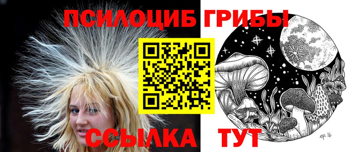 Владимир  Галлюциногенные грибы MAGIC MUSHROOMS  купить закладку  Вход с VPN  Псилоцибиновые грибы прущие грибы 